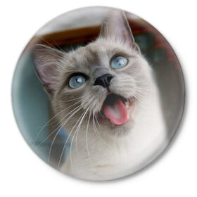 Значок с принтом Сиамский котенок в Курске,  металл | круглая форма, металлическая застежка в виде булавки | животные | кот | котенок | котик | кошечка | кошка | милый | мордочка | показывает язык | прикол | серый | сиамская | сиамская кошка | сиамский котенок | юмор | язык
