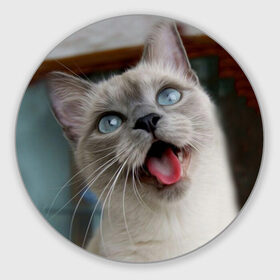 Коврик круглый с принтом Сиамский котенок в Курске, резина и полиэстер | круглая форма, изображение наносится на всю лицевую часть | животные | кот | котенок | котик | кошечка | кошка | милый | мордочка | показывает язык | прикол | серый | сиамская | сиамская кошка | сиамский котенок | юмор | язык