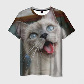Мужская футболка 3D с принтом Сиамский котенок в Курске, 100% полиэфир | прямой крой, круглый вырез горловины, длина до линии бедер | животные | кот | котенок | котик | кошечка | кошка | милый | мордочка | показывает язык | прикол | серый | сиамская | сиамская кошка | сиамский котенок | юмор | язык