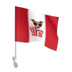 Флаг для автомобиля с принтом собака-киноман в Курске, 100% полиэстер | Размер: 30*21 см | кино | отдых | очки | попкорн | собака | телефон | терьер