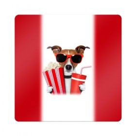 Магнит виниловый Квадрат с принтом собака-киноман в Курске, полимерный материал с магнитным слоем | размер 9*9 см, закругленные углы | кино | отдых | очки | попкорн | собака | телефон | терьер