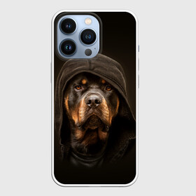 Чехол для iPhone 13 Pro с принтом Ротвейлер в капюшоне в Курске,  |  | rottweiler | капюшон | молоссы | пастух | пёс | собака | щенок