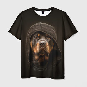 Мужская футболка 3D с принтом Ротвейлер в капюшоне в Курске, 100% полиэфир | прямой крой, круглый вырез горловины, длина до линии бедер | rottweiler | капюшон | молоссы | пастух | пёс | собака | щенок