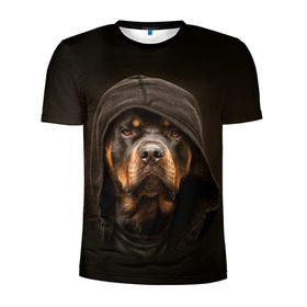 Мужская футболка 3D спортивная с принтом Ротвейлер в капюшоне в Курске, 100% полиэстер с улучшенными характеристиками | приталенный силуэт, круглая горловина, широкие плечи, сужается к линии бедра | rottweiler | капюшон | молоссы | пастух | пёс | собака | щенок