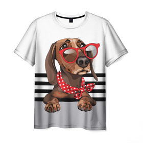 Мужская футболка 3D с принтом Такса в очках в Курске, 100% полиэфир | прямой крой, круглый вырез горловины, длина до линии бедер | animal | black | breed | dachshund | dog | domestic | drawing | gra | polka | red | shawl | stripes | white | белый | горошек | графика | домашняя | животное | красный | надпись | очки | платок | полосы | порода | рисунок | собака | такса | текс