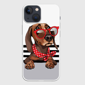 Чехол для iPhone 13 mini с принтом Такса в очках в Курске,  |  | animal | black | breed | dachshund | dog | domestic | drawing | gra | polka | red | shawl | stripes | white | белый | горошек | графика | домашняя | животное | красный | надпись | очки | платок | полосы | порода | рисунок | собака | такса | текс