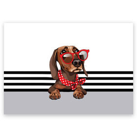 Поздравительная открытка с принтом Такса в очках в Курске, 100% бумага | плотность бумаги 280 г/м2, матовая, на обратной стороне линовка и место для марки
 | animal | black | breed | dachshund | dog | domestic | drawing | gra | polka | red | shawl | stripes | white | белый | горошек | графика | домашняя | животное | красный | надпись | очки | платок | полосы | порода | рисунок | собака | такса | текс