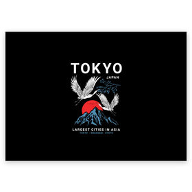 Поздравительная открытка с принтом Tokyo в Курске, 100% бумага | плотность бумаги 280 г/м2, матовая, на обратной стороне линовка и место для марки
 | cities | country | japan | large | most | mountains | nagasaki | tokyo | travel | большие | восход | города | горы | графика | журавли | закат | летят | нагасаки | надпись | полет | птицы | путешествия | рисунок | самые | солнце | страна