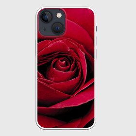 Чехол для iPhone 13 mini с принтом Бутон алой розы в Курске,  |  | 8 | day | flower | flowers | international | nature | pud | rose | roses | womens | бутон | день | женский | марта | международный | природа | растение | роза | розы | цветок | цветы