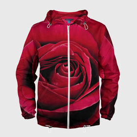 Мужская ветровка 3D с принтом Бутон алой розы в Курске, 100% полиэстер | подол и капюшон оформлены резинкой с фиксаторами, два кармана без застежек по бокам, один потайной карман на груди | 8 | day | flower | flowers | international | nature | pud | rose | roses | womens | бутон | день | женский | марта | международный | природа | растение | роза | розы | цветок | цветы