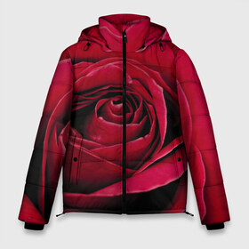 Мужская зимняя куртка 3D с принтом Бутон алой розы в Курске, верх — 100% полиэстер; подкладка — 100% полиэстер; утеплитель — 100% полиэстер | длина ниже бедра, свободный силуэт Оверсайз. Есть воротник-стойка, отстегивающийся капюшон и ветрозащитная планка. 

Боковые карманы с листочкой на кнопках и внутренний карман на молнии. | 8 | day | flower | flowers | international | nature | pud | rose | roses | womens | бутон | день | женский | марта | международный | природа | растение | роза | розы | цветок | цветы