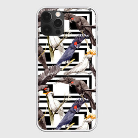 Чехол для iPhone 12 Pro Max с принтом Попугаи какаду в Курске, Силикон |  | birds | bri | cockatoo | exotic | jungle | palm | parrots | tropical | акварель | геометрический | графика | джунгли | иллюстрация | картинка | мода | молодежная | орнамент | пальмы | попугаи | птицы | рисунок | стиль