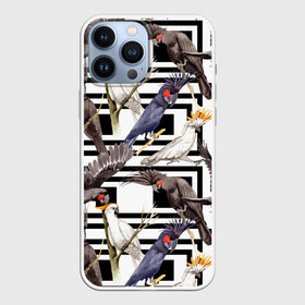 Чехол для iPhone 13 Pro Max с принтом Попугаи какаду в Курске,  |  | birds | bri | cockatoo | exotic | jungle | palm | parrots | tropical | акварель | геометрический | графика | джунгли | иллюстрация | картинка | мода | молодежная | орнамент | пальмы | попугаи | птицы | рисунок | стиль