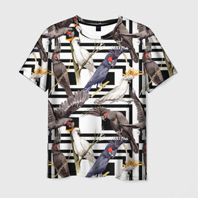 Мужская футболка 3D с принтом Попугаи какаду в Курске, 100% полиэфир | прямой крой, круглый вырез горловины, длина до линии бедер | birds | bri | cockatoo | exotic | jungle | palm | parrots | tropical | акварель | геометрический | графика | джунгли | иллюстрация | картинка | мода | молодежная | орнамент | пальмы | попугаи | птицы | рисунок | стиль