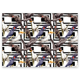 Поздравительная открытка с принтом Попугаи какаду в Курске, 100% бумага | плотность бумаги 280 г/м2, матовая, на обратной стороне линовка и место для марки
 | Тематика изображения на принте: birds | bri | cockatoo | exotic | jungle | palm | parrots | tropical | акварель | геометрический | графика | джунгли | иллюстрация | картинка | мода | молодежная | орнамент | пальмы | попугаи | птицы | рисунок | стиль