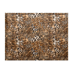 Обложка для студенческого билета с принтом Леопард в Курске, натуральная кожа | Размер: 11*8 см; Печать на всей внешней стороне | camouflage | cat | disguise | fashion | illustration | jungle | leopard | predator | skin | spots | style | wild | youth | графика | джунгли | дикий | иллюстрация | камуфляж | картинка | кошка | леопард | маскировка | мода | молодежная | пятна | рисунок |