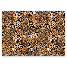 Поздравительная открытка с принтом Леопард в Курске, 100% бумага | плотность бумаги 280 г/м2, матовая, на обратной стороне линовка и место для марки
 | camouflage | cat | disguise | fashion | illustration | jungle | leopard | predator | skin | spots | style | wild | youth | графика | джунгли | дикий | иллюстрация | камуфляж | картинка | кошка | леопард | маскировка | мода | молодежная | пятна | рисунок |