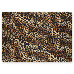 Поздравительная открытка с принтом Леопард в Курске, 100% бумага | плотность бумаги 280 г/м2, матовая, на обратной стороне линовка и место для марки
 | Тематика изображения на принте: camouflage | cat | disguise | fashion | illustration | jungle | leopard | predator | skin | spots | style | wild | youth | графика | джунгли | дикий | иллюстрация | камуфляж | картинка | кошка | леопард | маскировка | мода | молодежная | пятна | рисунок |
