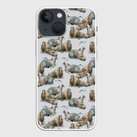 Чехол для iPhone 13 mini с принтом Моржи в Курске,  |  | animals | big | f | fangs | fish | fishing | ice | lie | northern | snow | style | walruses | wild | youth | большие | графика | дикие | животные | иллюстрация | картинка | клыки | лёд | лежат | мода | молодежная | моржи | рисунок | рыба | рыбалка