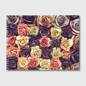 Альбом для рисования с принтом Шоколадные розы в Курске, 100% бумага
 | матовая бумага, плотность 200 мг. | бабушке | девочке | девушке | дочке | желтые цветы | женщине | маме | подруге | природа | розовые цветы | розы | сестре | теще | тюльпаны | цветы