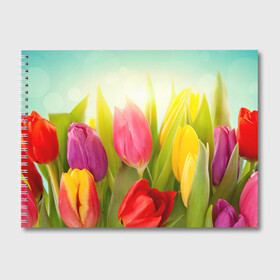 Альбом для рисования с принтом Тюльпаны в Курске, 100% бумага
 | матовая бумага, плотность 200 мг. | бабушке | девочке | девушке | дочке | желтые цветы | женщине | маме | подруге | природа | розовые цветы | розы | сестре | теще | тюльпаны | цветы