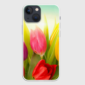 Чехол для iPhone 13 mini с принтом Тюльпаны в Курске,  |  | бабушке | девочке | девушке | дочке | желтые цветы | женщине | маме | подруге | природа | розовые цветы | розы | сестре | теще | тюльпаны | цветы
