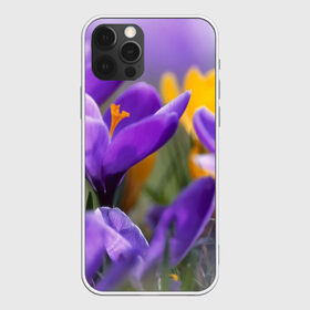 Чехол для iPhone 12 Pro Max с принтом Фиолетовые цветы в Курске, Силикон |  | Тематика изображения на принте: бабушке | девочке | девушке | дочке | желтые цветы | женщине | маме | подруге | природа | розовые цветы | розы | сестре | теще | тюльпаны | цветы