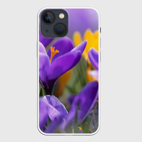 Чехол для iPhone 13 mini с принтом Фиолетовые цветы в Курске,  |  | бабушке | девочке | девушке | дочке | желтые цветы | женщине | маме | подруге | природа | розовые цветы | розы | сестре | теще | тюльпаны | цветы