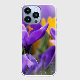 Чехол для iPhone 13 Pro с принтом Фиолетовые цветы в Курске,  |  | бабушке | девочке | девушке | дочке | желтые цветы | женщине | маме | подруге | природа | розовые цветы | розы | сестре | теще | тюльпаны | цветы