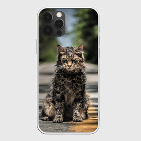 Чехол для iPhone 12 Pro с принтом Dead Cat в Курске, силикон | область печати: задняя сторона чехла, без боковых панелей | Тематика изображения на принте: louis creed | pet cemetery | pet sematary | stephen king | кладбище домашних животных | луис крид | стивен кинг | ужастик