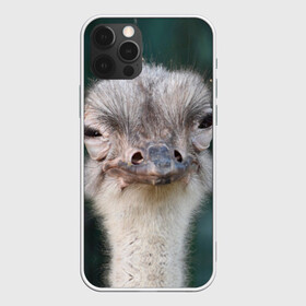 Чехол для iPhone 12 Pro с принтом Подозрительный страус в Курске, силикон | область печати: задняя сторона чехла, без боковых панелей | lol | глаза | голова | детям | животные | зеленая | лол | подарок | подмигивает | подозрительно | прикольная | природа | смешная | страус | эмоции | юмор