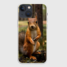 Чехол для iPhone 13 mini с принтом Белочка в Курске,  |  | белка | веселая | весна | глаза | грызун | деревья | зверек | зверь | зеленая | зелень | классная | лес | лето | новинка | осень | пенек | позирует | прикольная | природа | пушистая | рыжая | семечки | фото