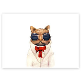 Поздравительная открытка с принтом Кот в Курске, 100% бумага | плотность бумаги 280 г/м2, матовая, на обратной стороне линовка и место для марки
 | бабочка | в очках | киса | киска | костюм | котейка | котенок | котэ | котя | кошка | крутой | модный | стиль | ученый