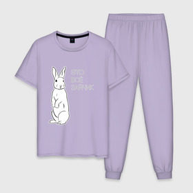 Мужская пижама хлопок с принтом Это все зайчик в Курске, 100% хлопок | брюки и футболка прямого кроя, без карманов, на брюках мягкая резинка на поясе и по низу штанин
 | 