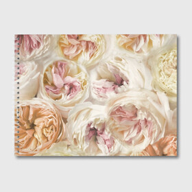 Альбом для рисования с принтом Нежные Пионы в Курске, 100% бумага
 | матовая бумага, плотность 200 мг. | букет | красивый | милый | пион | роза | розовый | розочка | свадебный | флористика | цветок | цветы