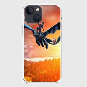 Чехол для iPhone 13 mini с принтом Night Fury в Курске,  |  | how to train your dragon | night fury | беззубик | дракон | как приручить дракона | ночная фурия