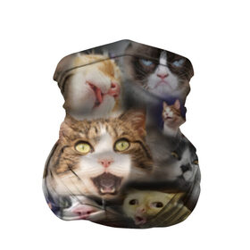 Бандана-труба 3D с принтом Те самые коты в Курске, 100% полиэстер, ткань с особыми свойствами — Activecool | плотность 150‒180 г/м2; хорошо тянется, но сохраняет форму | грустный кот мем | кот | кот мем | коты | кошка | мем | мем про котов | мемы | мемы с котами