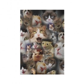 Обложка для паспорта матовая кожа с принтом Те самые коты в Курске, натуральная матовая кожа | размер 19,3 х 13,7 см; прозрачные пластиковые крепления | Тематика изображения на принте: грустный кот мем | кот | кот мем | коты | кошка | мем | мем про котов | мемы | мемы с котами