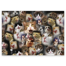 Поздравительная открытка с принтом Те самые коты в Курске, 100% бумага | плотность бумаги 280 г/м2, матовая, на обратной стороне линовка и место для марки
 | грустный кот мем | кот | кот мем | коты | кошка | мем | мем про котов | мемы | мемы с котами