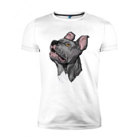Мужская футболка премиум с принтом Pitbull в Курске, 92% хлопок, 8% лайкра | приталенный силуэт, круглый вырез ворота, длина до линии бедра, короткий рукав | dog | pitbull | питбуль | собака | собаки