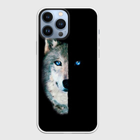 Чехол для iPhone 13 Pro Max с принтом Волк в Курске,  |  | animal | art | blue | day | head | muzzle | night | predator | view | wild | wolf | взгляд | волк | голова | день | дикий | животное | искусство | ночь | синий | хищник