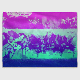 Плед 3D с принтом color neon collection в Курске, 100% полиэстер | закругленные углы, все края обработаны. Ткань не мнется и не растягивается | grafiti | paint | street art | urban | город | граффити | искусство | кирпичи | краски | рисунки | стена | улицы | уличное искусство