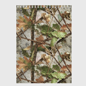 Скетчбук с принтом Камуфляж в Курске, 100% бумага
 | 48 листов, плотность листов — 100 г/м2, плотность картонной обложки — 250 г/м2. Листы скреплены сверху удобной пружинной спиралью | army | autumn | branches | camouflage | disguise | fishing | forest | green | khaki | leaves | nature | oak | photo | армия | ветки | дуб | зеленый | камуфляж | лес | листья | маскировка | осень | охота | природа | рыбалка | фото | хаки