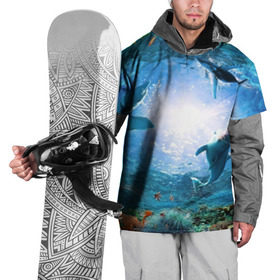 Накидка на куртку 3D с принтом Дельфины в Курске, 100% полиэстер |  | fish | аква | аквариум | вода | кораллы | море | океан | ракушки | рыбки | рыбы