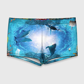 Мужские купальные плавки 3D с принтом Дельфины в Курске, Полиэстер 85%, Спандекс 15% |  | Тематика изображения на принте: fish | аква | аквариум | вода | кораллы | море | океан | ракушки | рыбки | рыбы