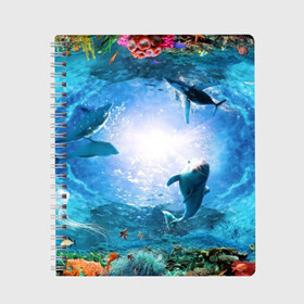 Тетрадь с принтом Дельфины в Курске, 100% бумага | 48 листов, плотность листов — 60 г/м2, плотность картонной обложки — 250 г/м2. Листы скреплены сбоку удобной пружинной спиралью. Уголки страниц и обложки скругленные. Цвет линий — светло-серый
 | fish | аква | аквариум | вода | кораллы | море | океан | ракушки | рыбки | рыбы