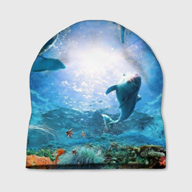 Шапка 3D с принтом Дельфины в Курске, 100% полиэстер | универсальный размер, печать по всей поверхности изделия | fish | аква | аквариум | вода | кораллы | море | океан | ракушки | рыбки | рыбы