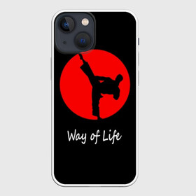 Чехол для iPhone 13 mini с принтом Каратэ в Курске,  |  | eastern | emblem | fighter | font | image | inscri | japanese | karate | kick | life | man | martial arts | red | silhouette | sport | sun | text | wrestling | боец | борьба | единоборства | жизни | каратэ | красное | мужчина | надпись | образ | силуэт | 