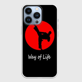 Чехол для iPhone 13 Pro с принтом Каратэ в Курске,  |  | eastern | emblem | fighter | font | image | inscri | japanese | karate | kick | life | man | martial arts | red | silhouette | sport | sun | text | wrestling | боец | борьба | единоборства | жизни | каратэ | красное | мужчина | надпись | образ | силуэт | 