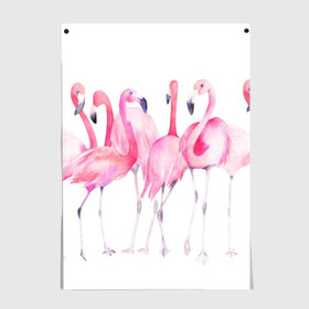 Постер с принтом Фламинго в Курске, 100% бумага
 | бумага, плотность 150 мг. Матовая, но за счет высокого коэффициента гладкости имеет небольшой блеск и дает на свету блики, но в отличии от глянцевой бумаги не покрыта лаком | art | birds | flamingo | flock | illustration | pink | summer | watercolor | акварель | иллюстрация | искусство | лето | птицы | розовый | стая | фламинго